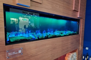 Завершилась выставка MosBuild 2026 Фото 7.